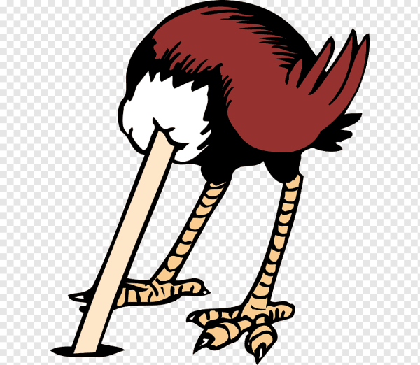 Страус на прозрачном фоне