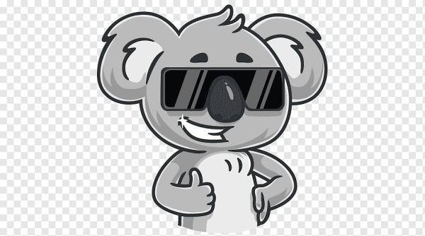 Коала на белом фоне