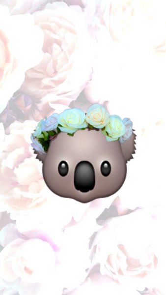 Стикеры Куала