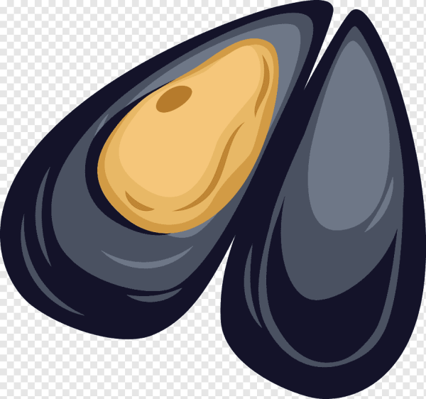 Значок мидии