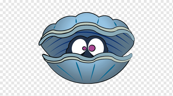 Ракушка с глазами