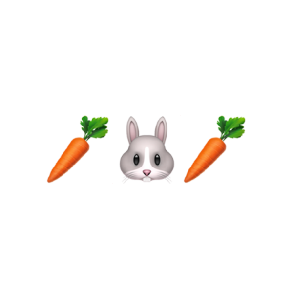 Rabbit Carrot