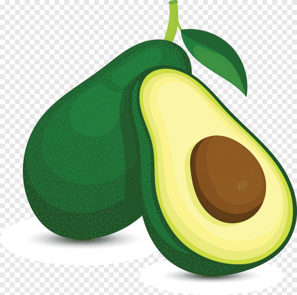 Векторная Графика авокадо