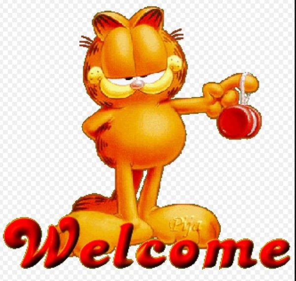 Приятного просмотра гифки