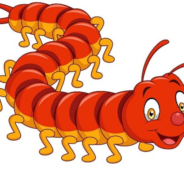 Сороконожка мультяшная