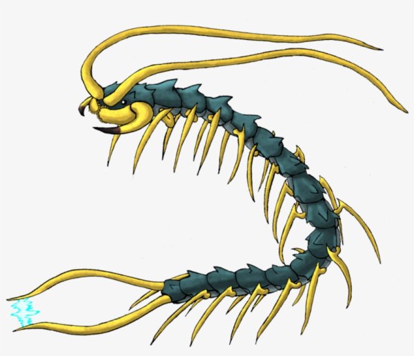 Сколопендра пиро