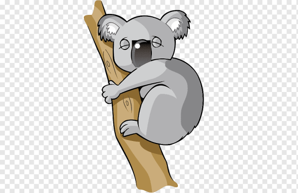 Белая коала мультфильм