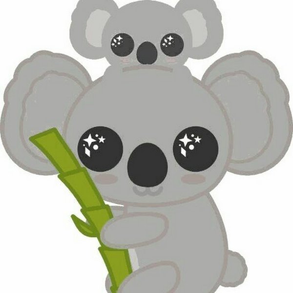 Кавайные коалы