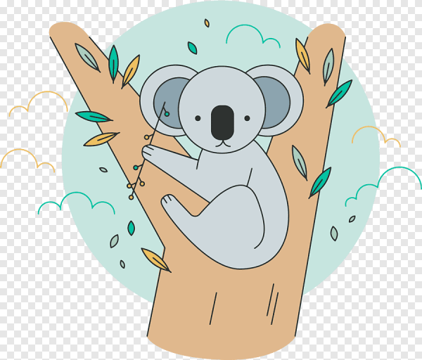 Коала вектор