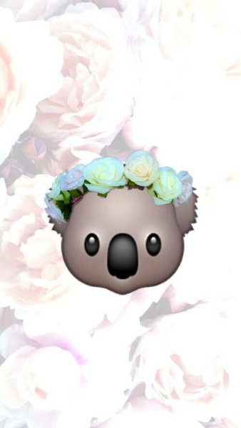 ЭМОДЖИ айфон коала