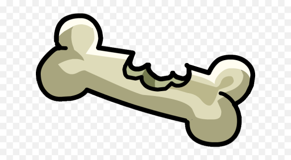 Кость иллюстрация