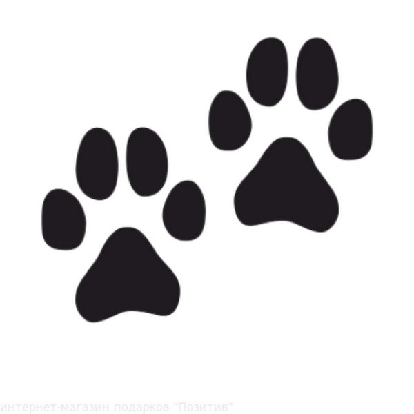 Наклейки кошачьи следы