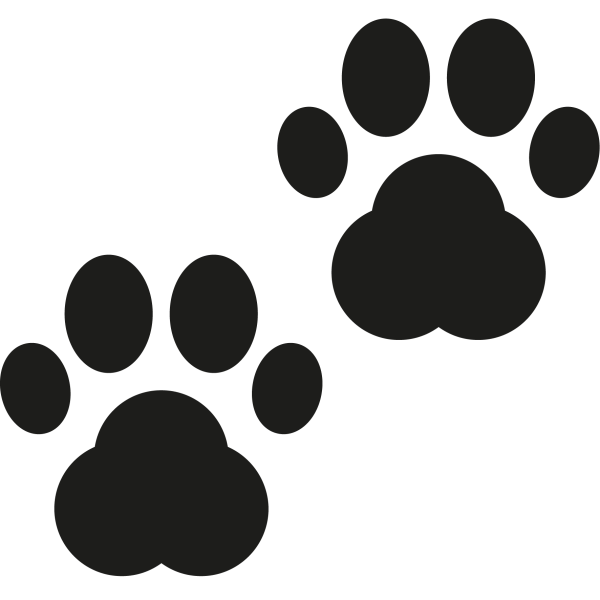 Лапка собаки