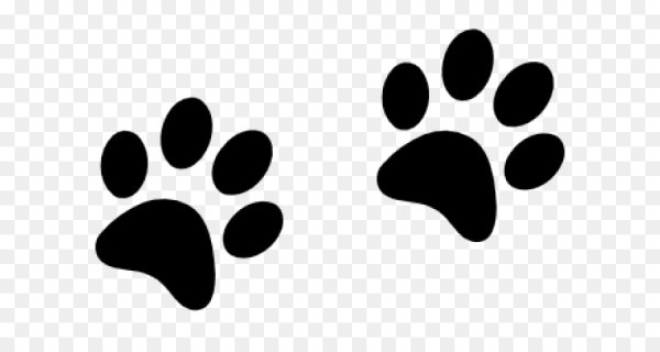 Кошачьи следы без фона