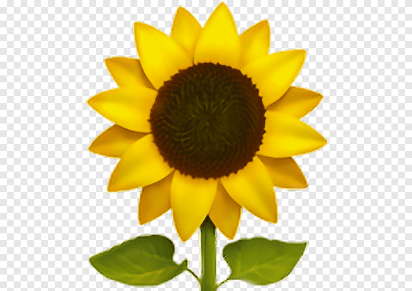 Эппл подсолнух