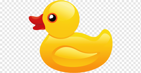 Утка для дошкольников