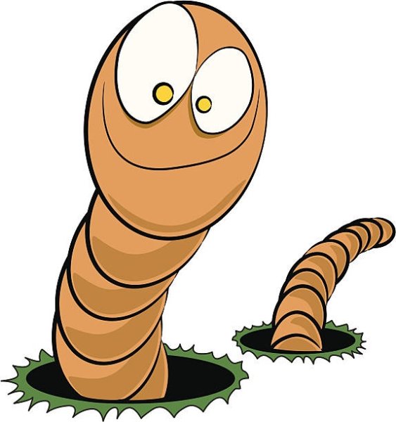 Червяк ползет