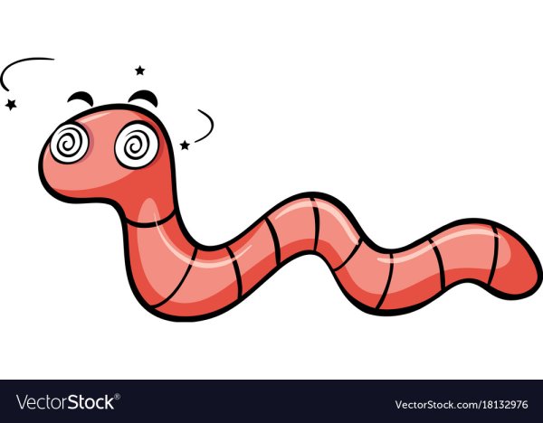 Червяк на белом фоне