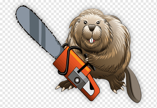 Бензопила Бобр