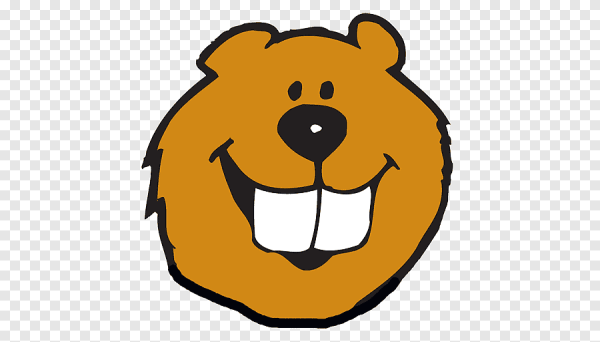 Бобер на голове