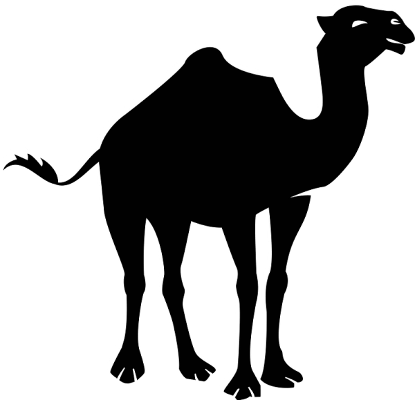 Верблюд силуэт