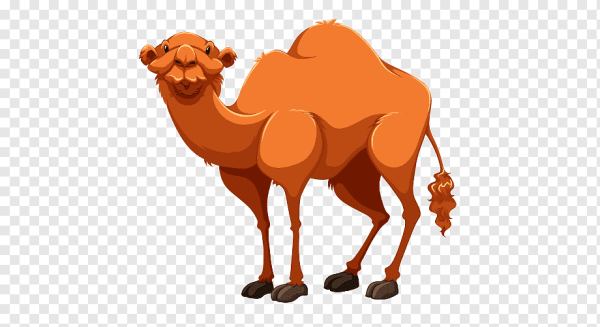 Верблюд мультяшный