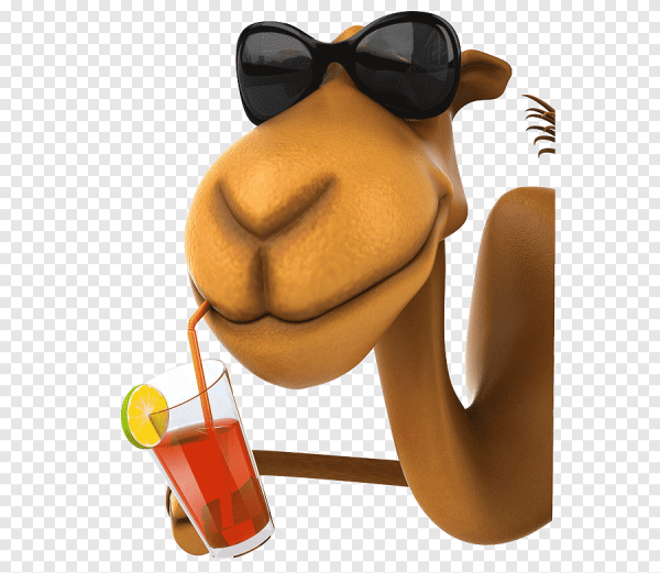 Анимационный верблюд