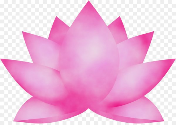 Лепестки лотоса на прозрачном фоне