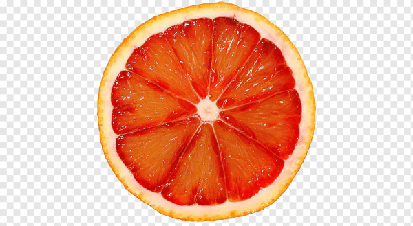 Срез апельсина