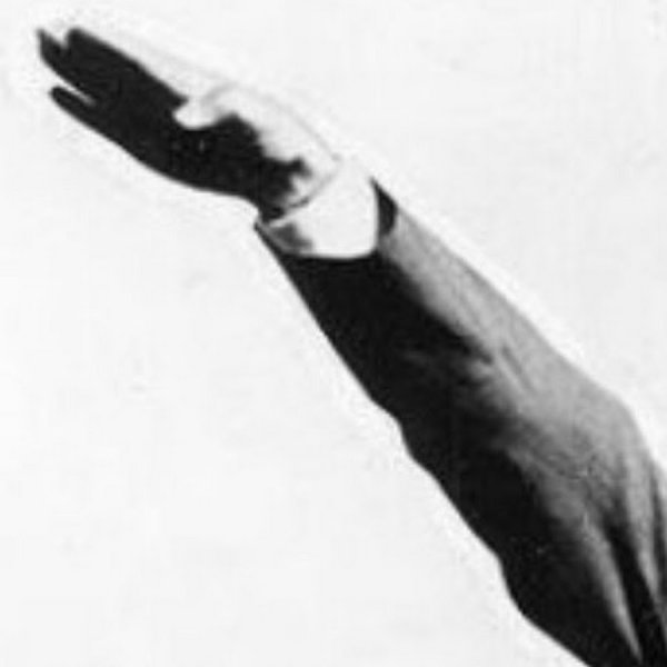 Рука кидает зигу