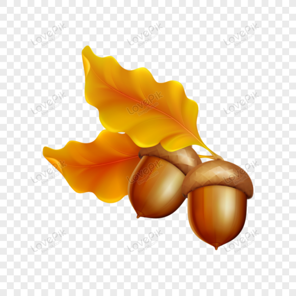 Веселый Желудь