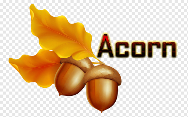 Коричневые предметы