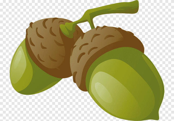 Желудь рисунок для детей