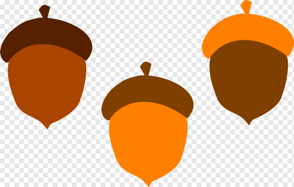 Желуди для дошкольников