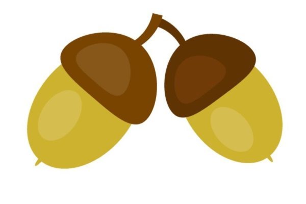 Желудь из ледникового периода