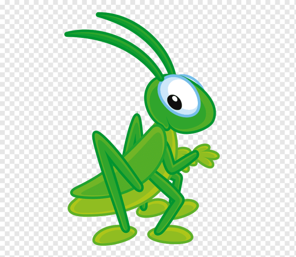 Кузнечик на белом фоне