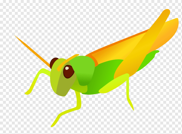 Саранча мультяшная