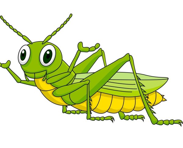 Кузнечик на прозрачном фоне для фотошопа