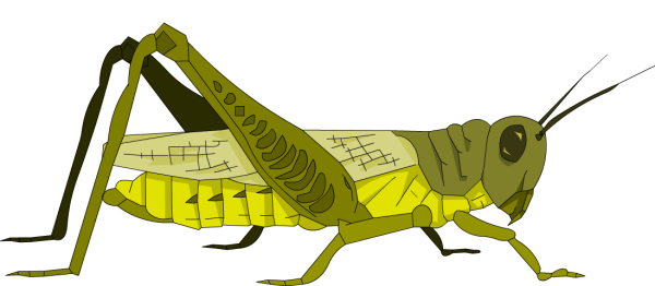 Эмодзи насекомые