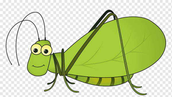 Двигающиеся насекомые