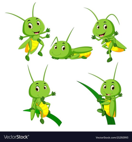 Кузнечик анимация