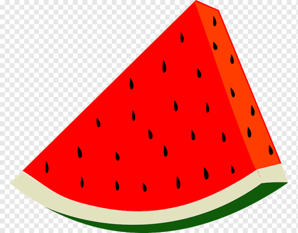 Арбуз рисунок для детей