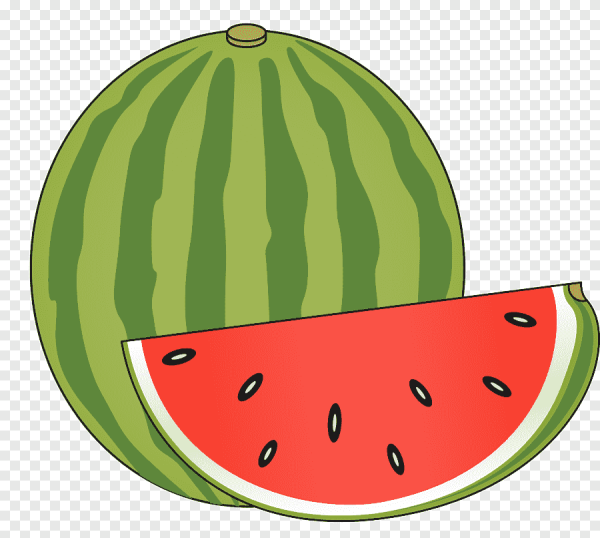 Арбуз рисунок