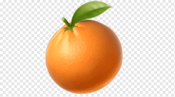 Веселые мордочки