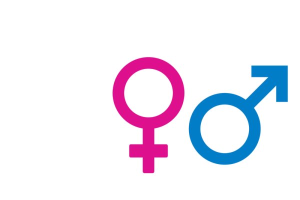 Пол мужской и женский