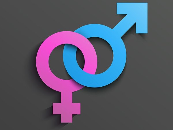 Мужской и женский символ