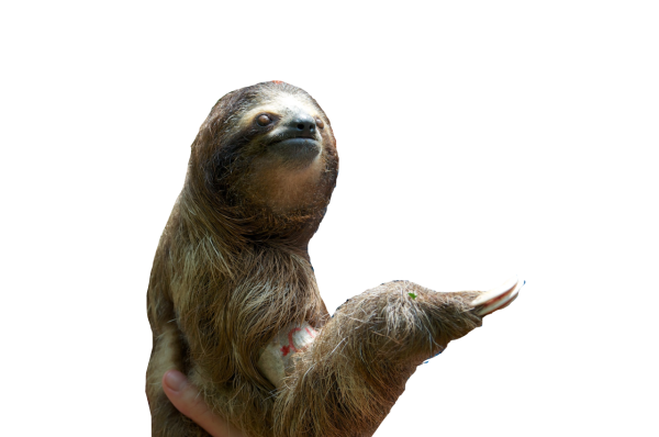 Стикер "Ленивец"