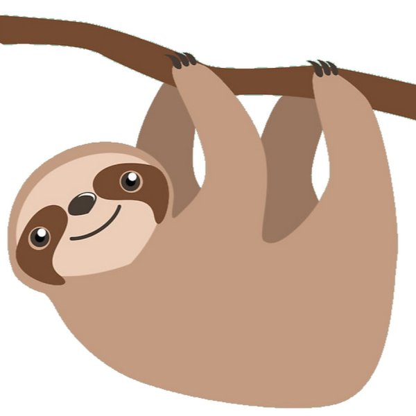 Serious Sloth