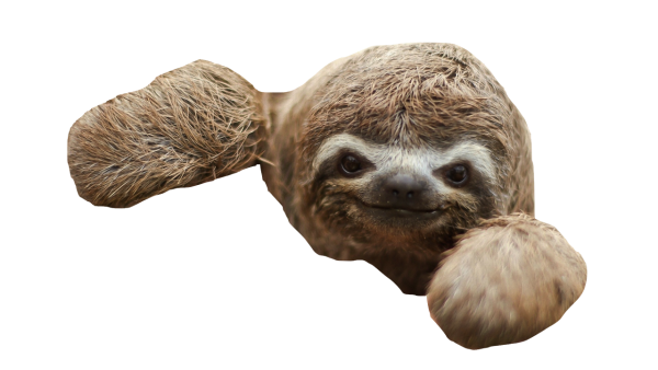 Ленивец Стикеры телеграмм