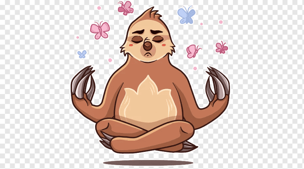 Ленивец на белом фоне